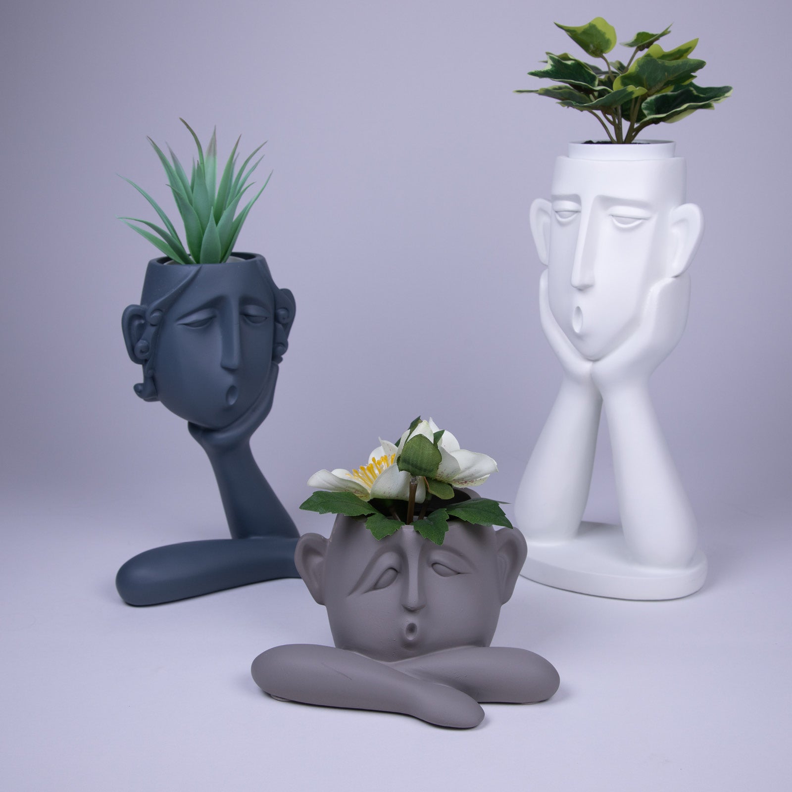 Set of 3 Decorative Resin Succulent Planter Pots