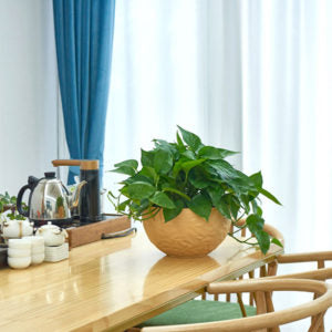 Self-Watering Resin Hanging Planter | Indoor & Outdoor Flower Basket