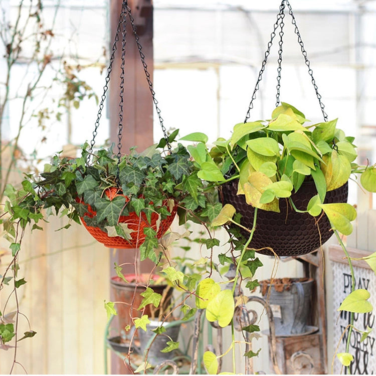 Self-Watering Hanging Planter for Indoor & Outdoor Plants