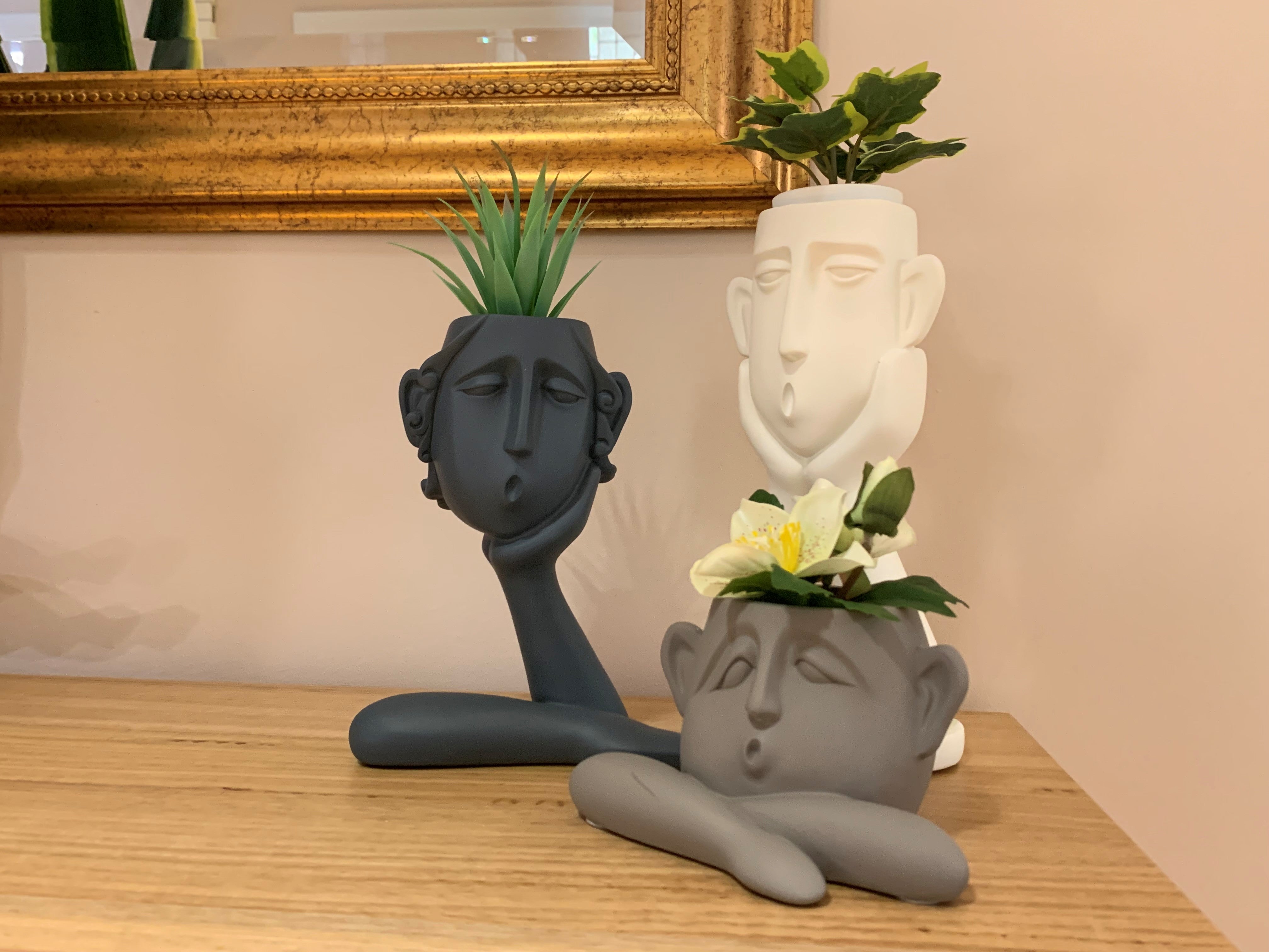 Set of 3 Decorative Resin Succulent Planter Pots