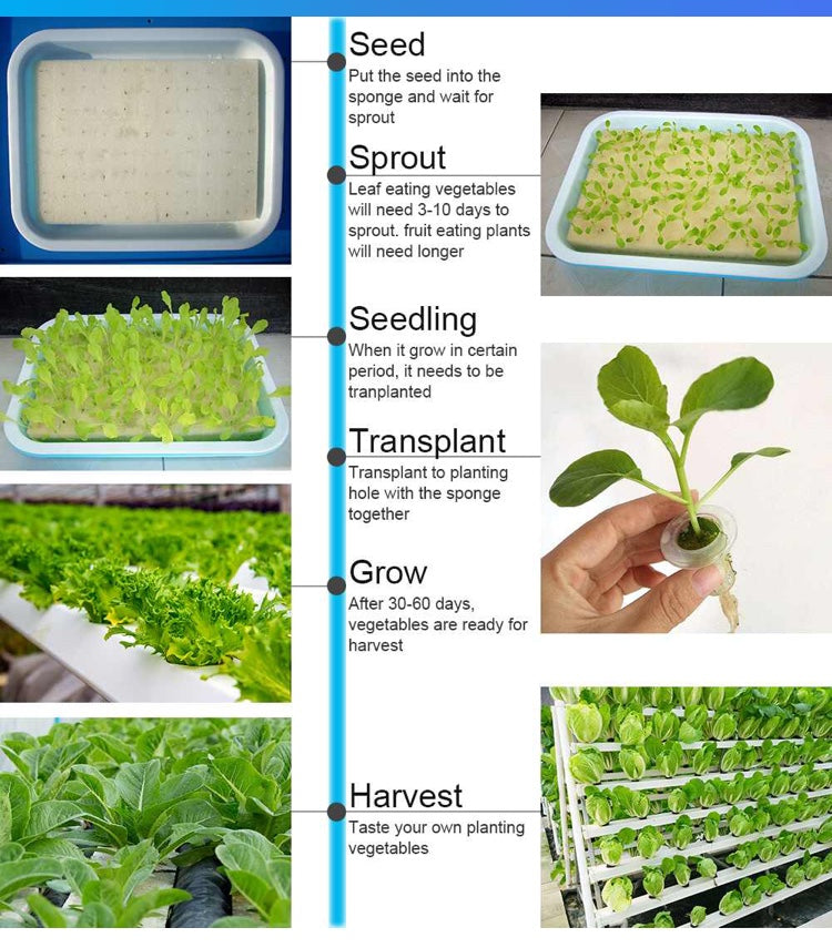 108-Plant Vertical Hydroponic Garden System | All-in-One Home Growing Kit