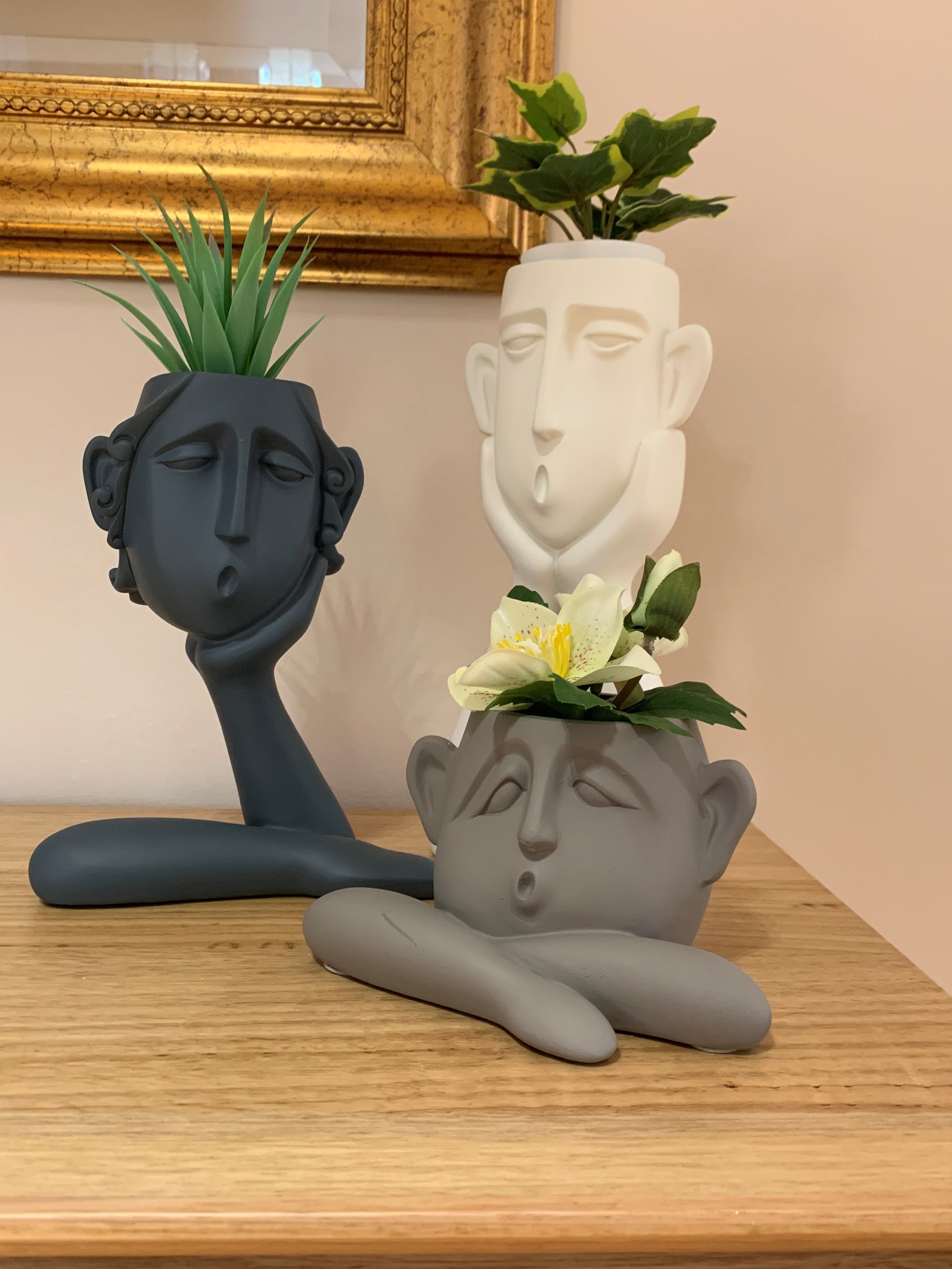 Set of 3 Decorative Resin Succulent Planter Pots