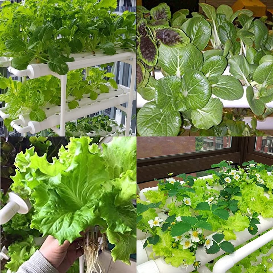 108-Plant Vertical Hydroponic Garden System | All-in-One Home Growing Kit