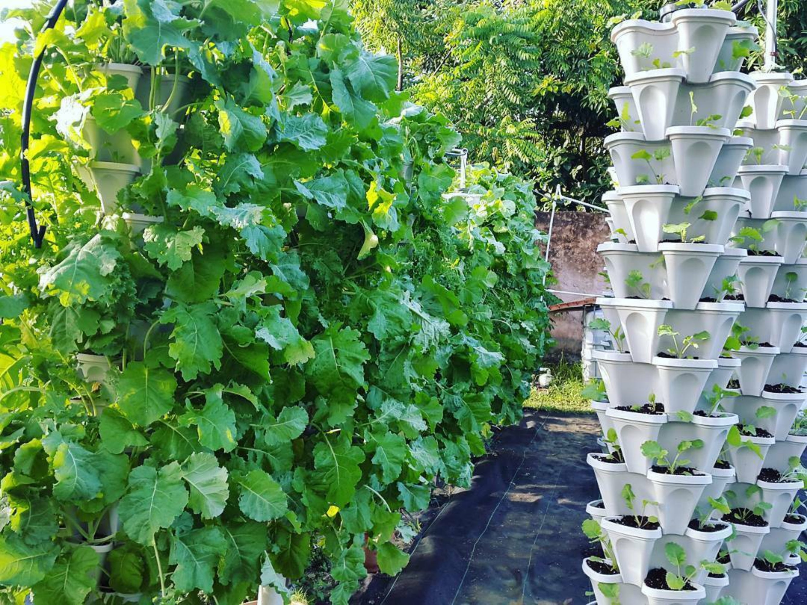 50-Tier Stackable Vertical Garden Planter Bulk Kit