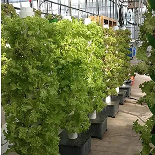 70-Pot Vertical Hydroponic Tower | 14-Layer Aeroponic Home Growing Kit