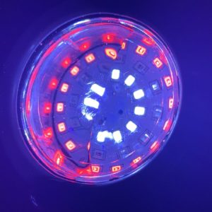 42-LED Submersible Fountain Light Colour-Changing