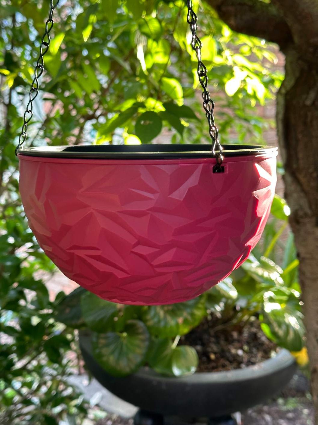 Self-Watering Resin Hanging Planter Flower Basket