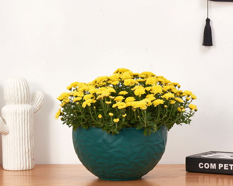 Self-Watering Resin Hanging Planter Flower Basket