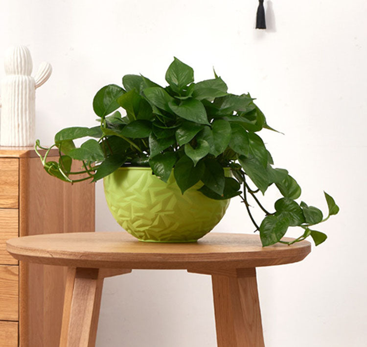 Self-Watering Resin Hanging Planter Flower Basket