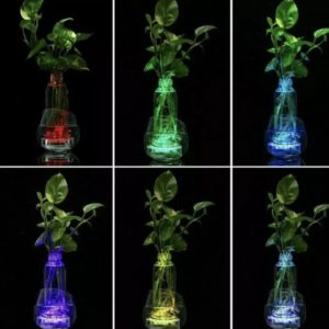 Mist Maker with 12 LED Lights for Ponds and Aquariums