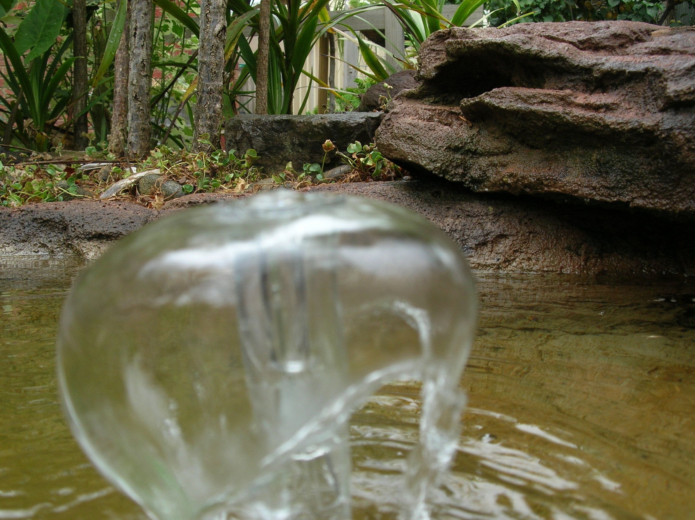 Small Submersible Fountain Head – Nozzle for Garden Ponds & Water Features, Water Bowls, Aquarium