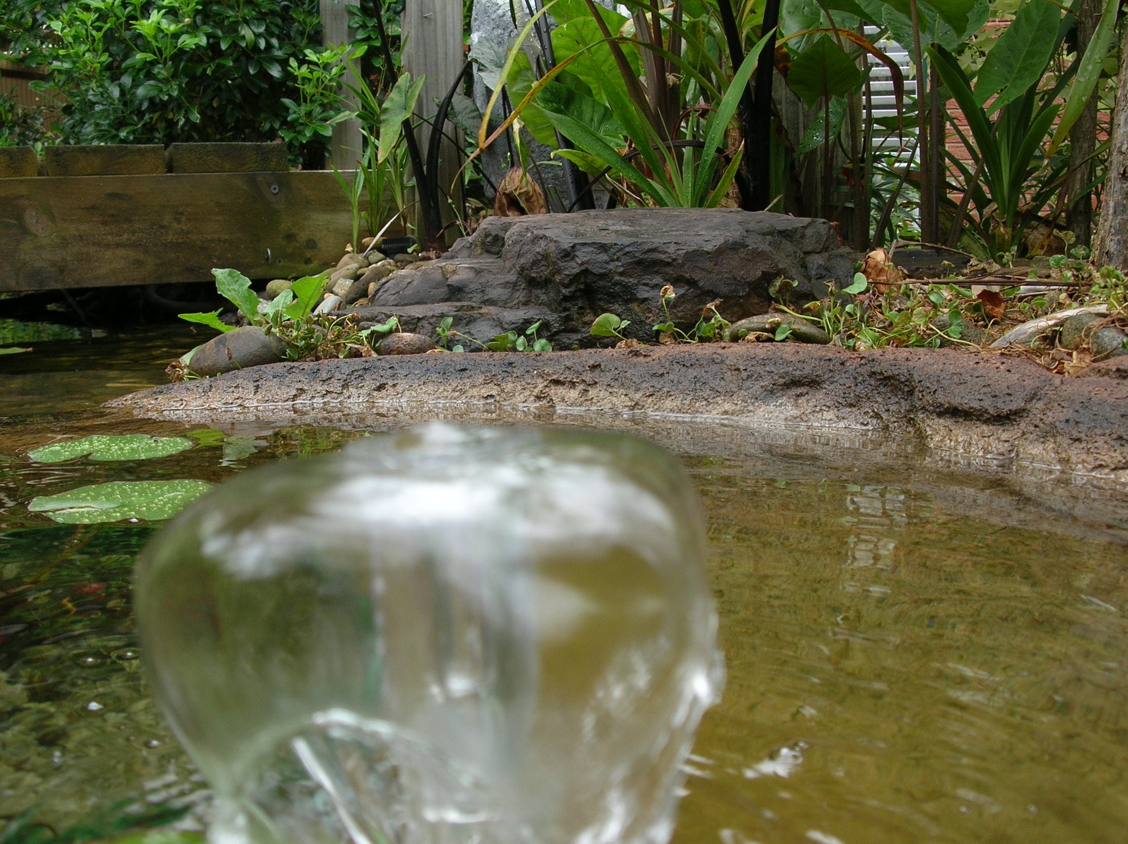 Small Submersible Fountain Head – Nozzle for Garden Ponds & Water Features, Water Bowls, Aquarium