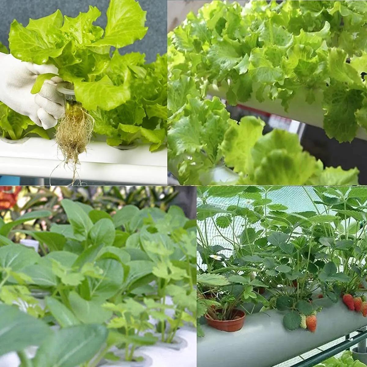 108-Plant Vertical Hydroponic Garden System | All-in-One Home Growing Kit