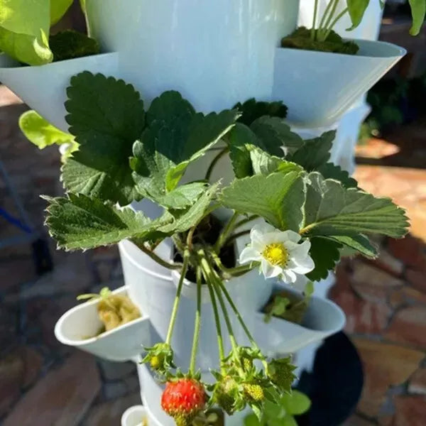 70-Pot Vertical Hydroponic Tower | 14-Layer Aeroponic Home Growing Kit