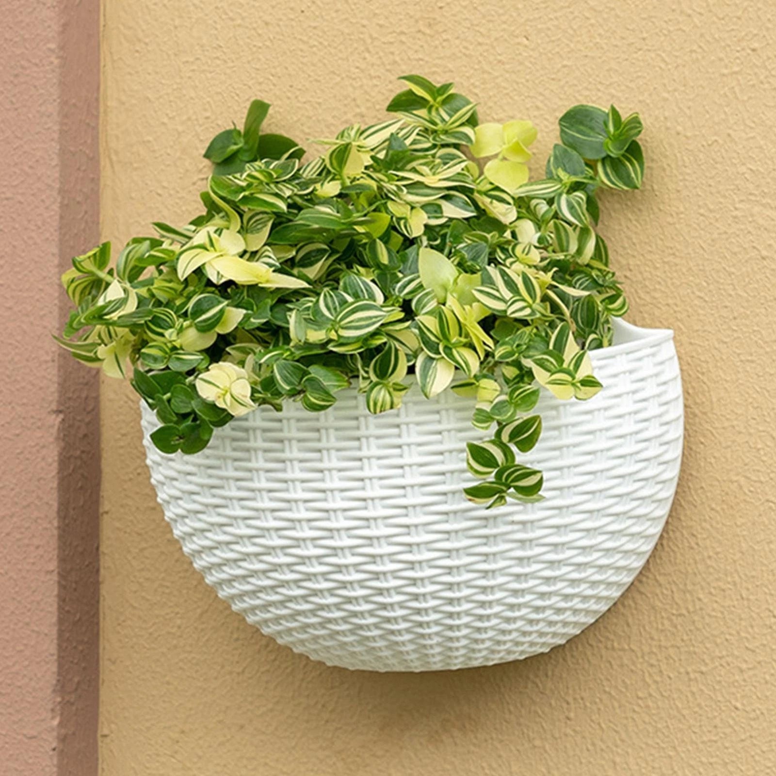 Half-Round Faux Rattan Wall Planter Hanging Flower Pot